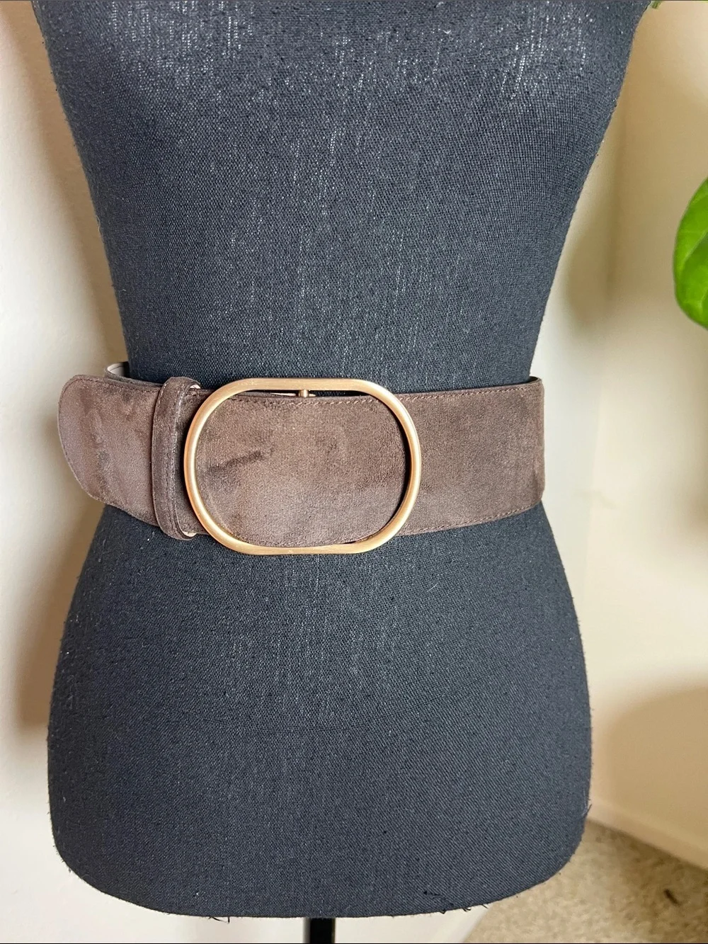 Banana Republic Women’s Wide Vegan Suede Belt in Size XS NWOTs in Espresso